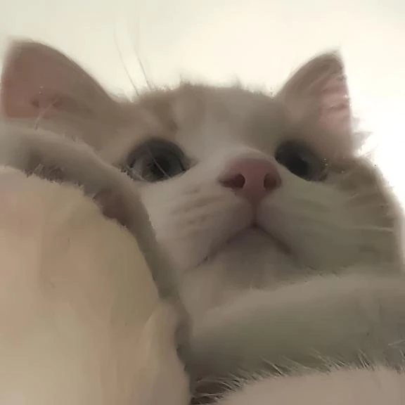 また次回🤍