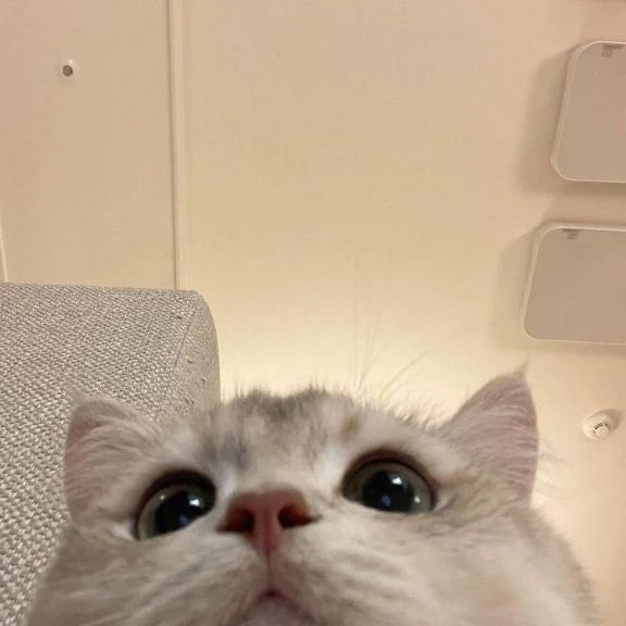 今日から🩵