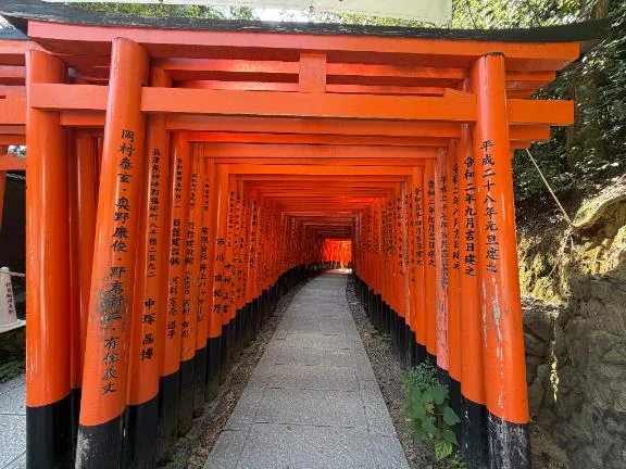 🦊〜