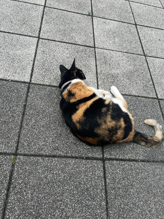 出勤します🤍