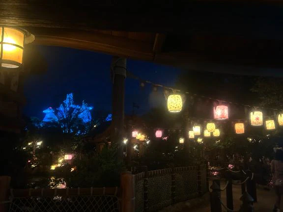 ありがとうございました🫐