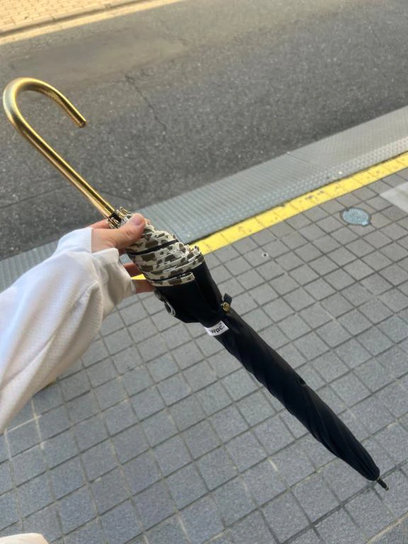 ダッシュッ！！