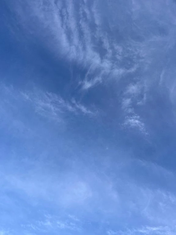 おはようございます☀️