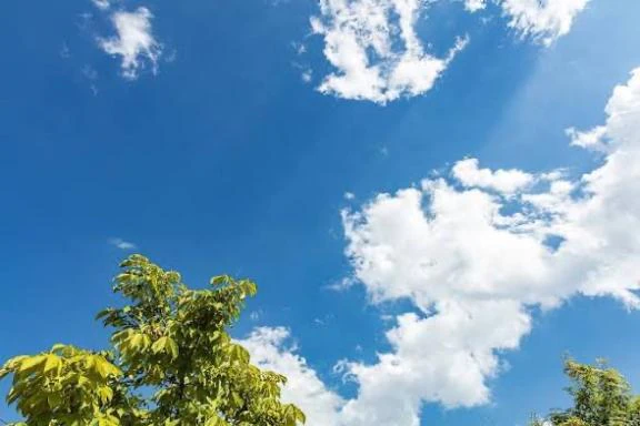 おはようございます☀️