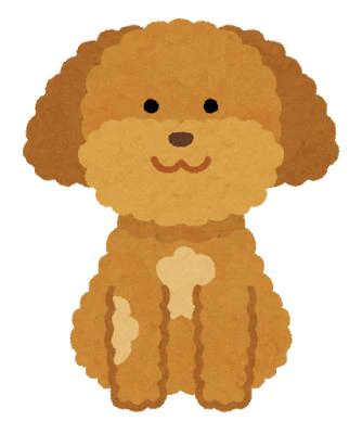 今日もありがとうございます！