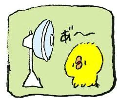 あちち🐥⸒⸒