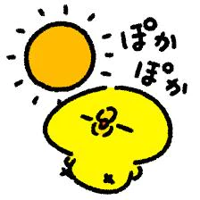 こんにちワッサー🐶