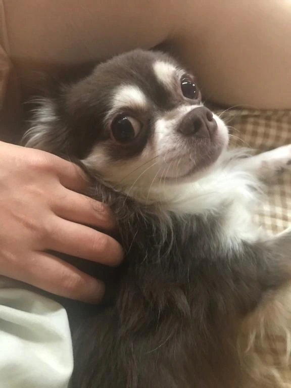 今日