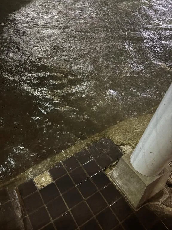 こちら まりあです☔️