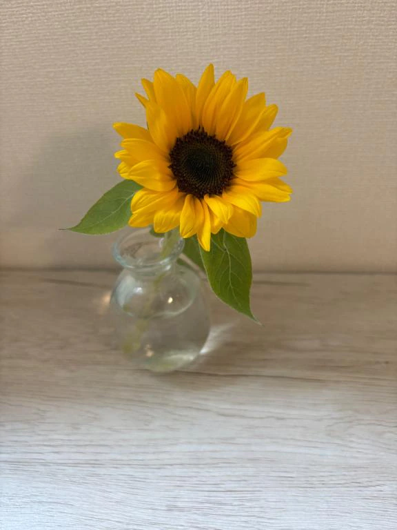スマットなう💛