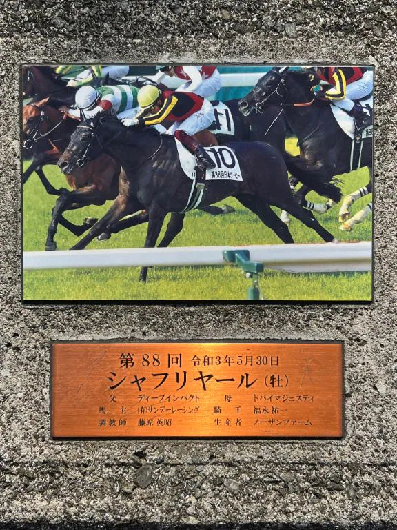 今日の馬券