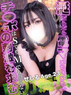 せしる