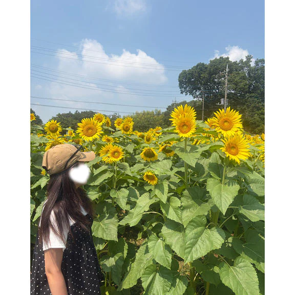 🌻