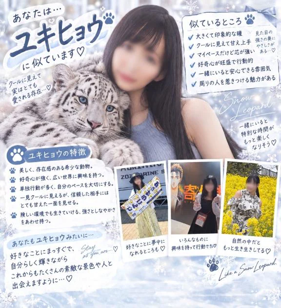 AI動物診断🔎⸒⸒.⋆
