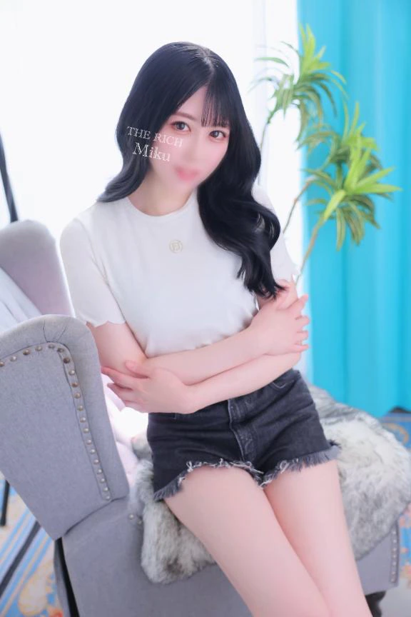 ミクの取り扱い説明書📕