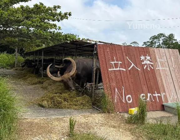 うっしっしー