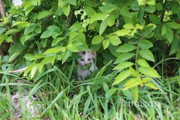 おはよう
