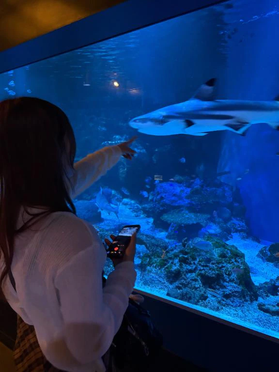 撮影行ってきましゅ📸✨
