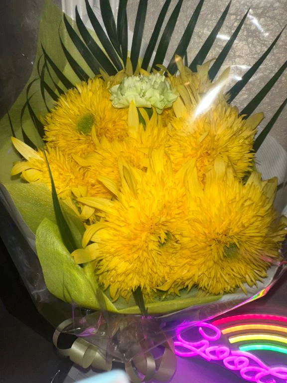 🌻💛