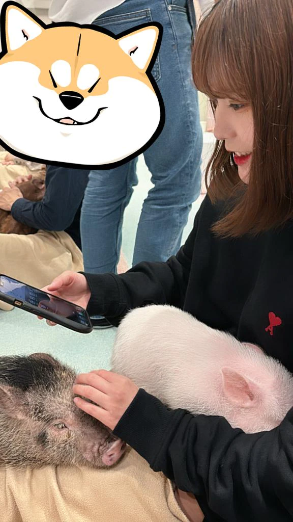 🎀しゅーきん🎀