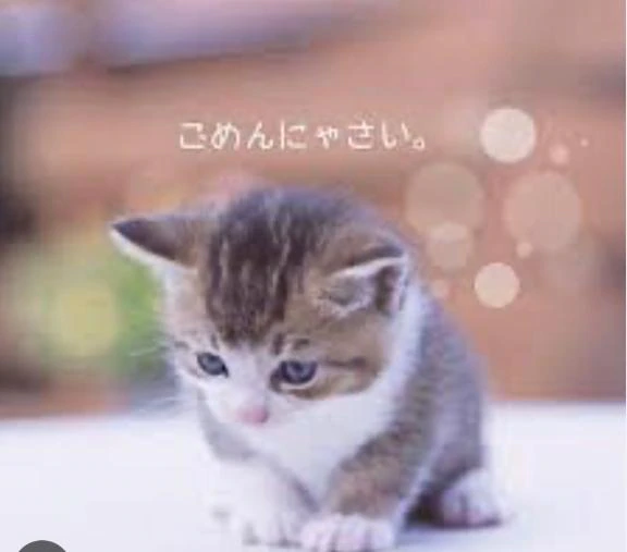 おやすみです🌹