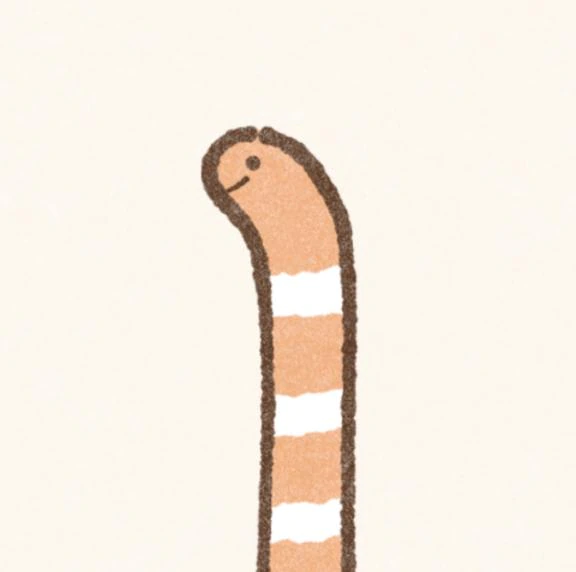 明日から👖