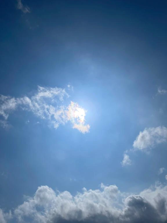 向かってます🌻