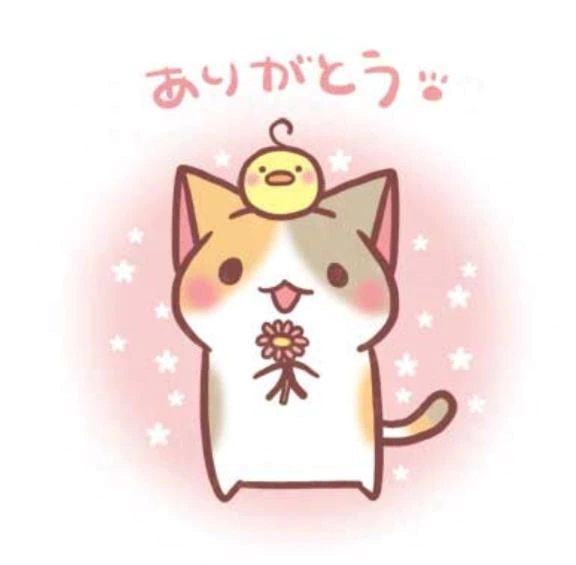 ニッコニコ(｡˃ ᵕ ˂。)🧡