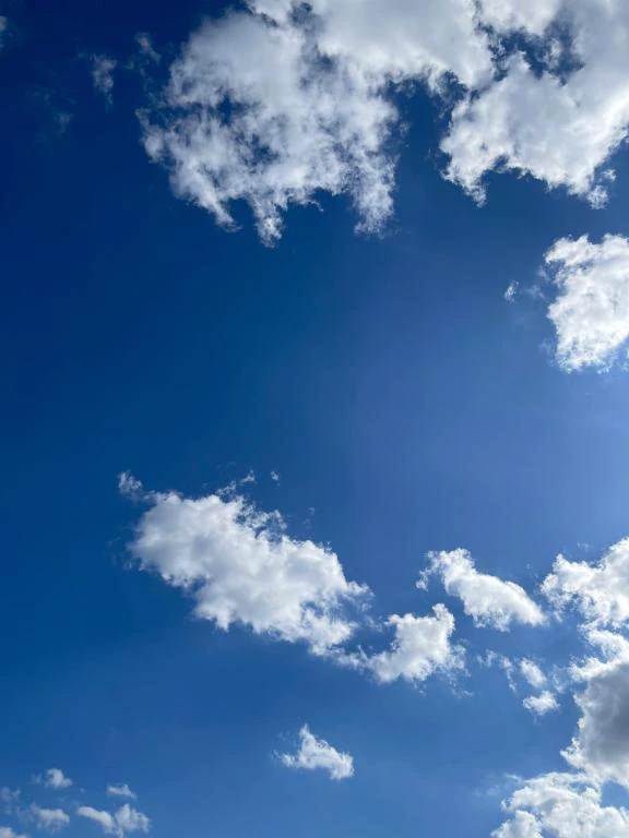 天気良すぎて☀︎