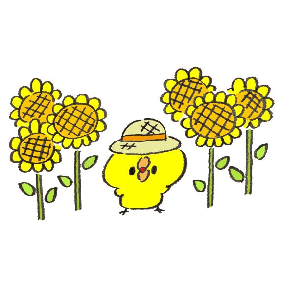 久しぶりの🌻