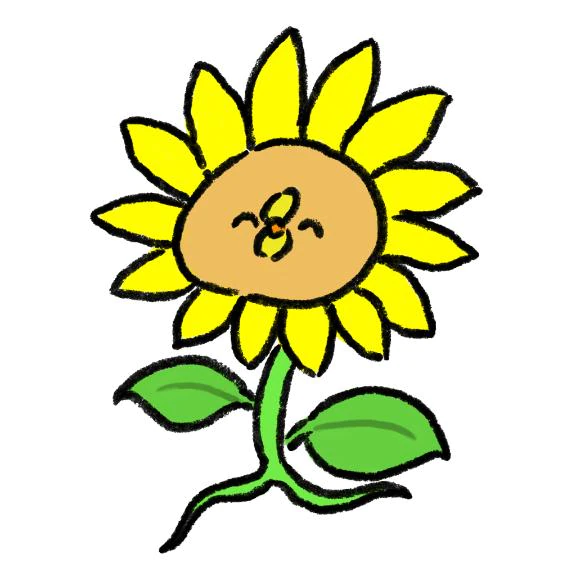 ご予約完売🌻