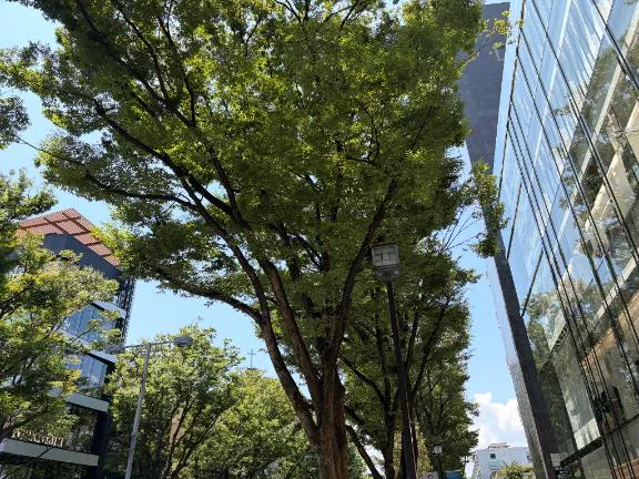 休暇4日目🌻