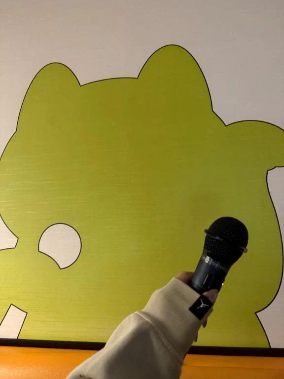 ヒトカラ🎤