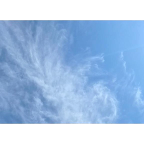 おはよ