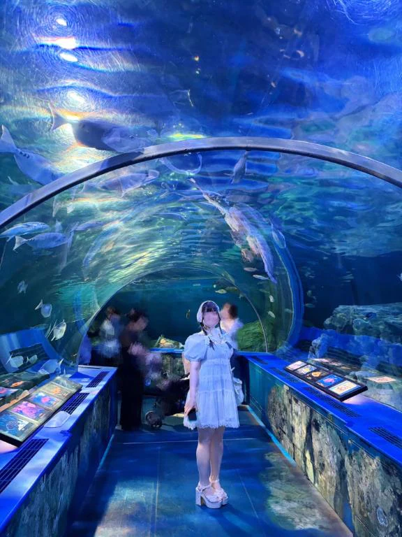 海🏖