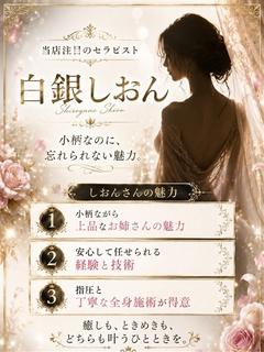 白銀しおん