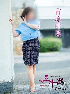 古原叶菜
