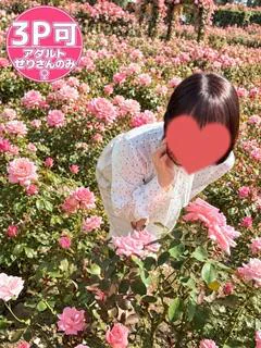 やよい