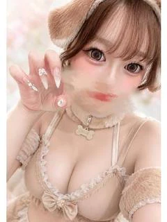 犬のココ