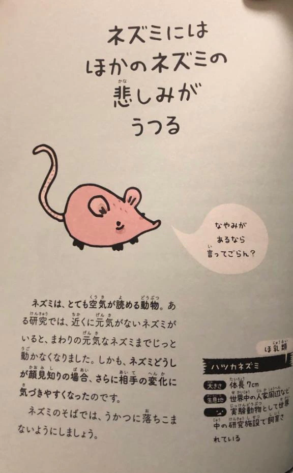 頭痛のため