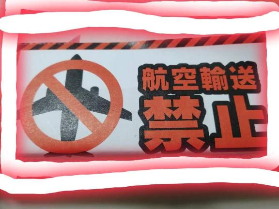 この子達と旅✨️