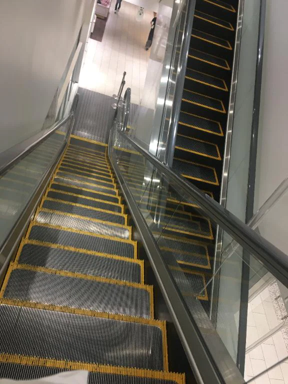 体験中!!