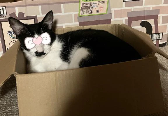 可愛すぎて