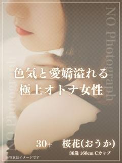 体験入店　桜花(おう...
