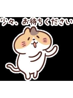 織田さん家の奥さん