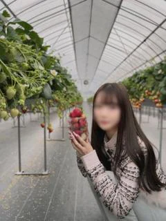 琴