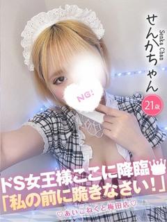 せんか