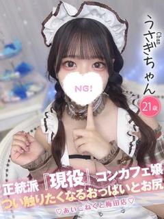 うさぎ