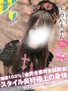 とうか