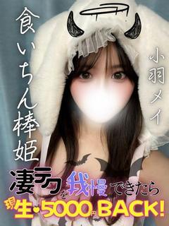 小羽メイ